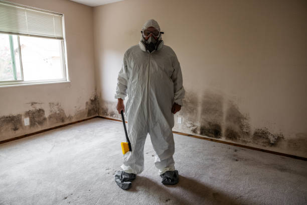 Best Emergency Mold Removal  in Campbell, OH